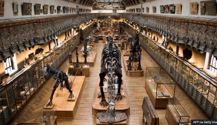 ბრალი წარუდგინეს ქალს, რომელმაც პარიზის ბუნებისმეტყველების მუზეუმიდან 1.5 მილიონი ევროს ღირებულების ოქროს 6 ზოდი მოიპარა