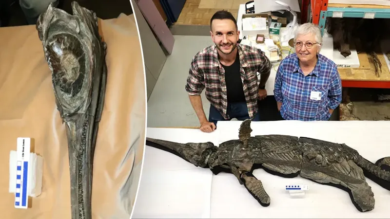 დიდი ბრიტანეთის სანაპიროსთან "მახვილიანი დრაკონის" ჩონჩხი იპოვეს - რას ამბობენ პალეონტოლოგები