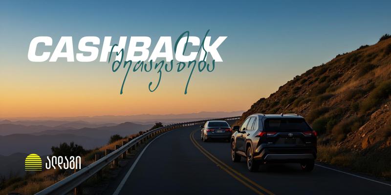 დაზღვიე ავტომობილი ალდაგში და დაიბრუნე სამი თვის პრემია უკან