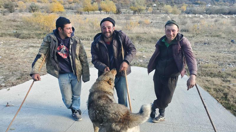 "ვცდილობ, მეცხვარის ხელობა არ დაიკარგოს. როგორც მე გადმომცეს უფროსებმა, მეც გადავცე უმცროსებს, მაგრამ ვიღას უნდა..." - ჩვენი დროის "თეთრი ქარავანი" და "თუში მეცხვარეები" (ფოტოები)