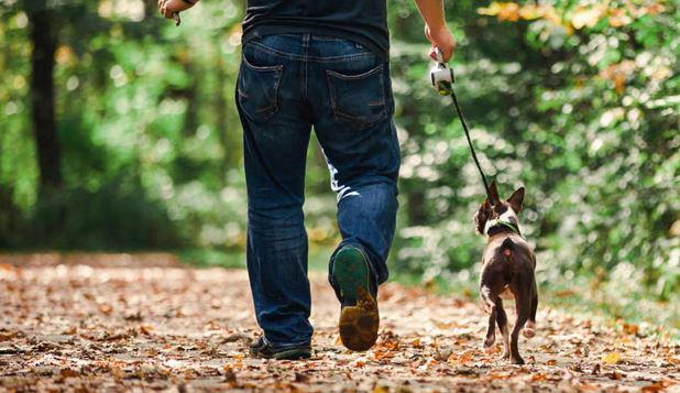 14-წლიანი კვლევის შედეგი: ფეხით სიარული ალცჰაიმერის განვითარების ტემპს ამცირებს - რას ამბობენ მეცნიერები?