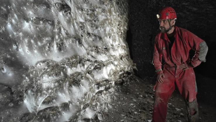 ევროპაში აღმოაჩინეს მსოფლიოში უდიდესი ქსელი, სადაც 100 000-ზე მეტი ობობა ცხოვრობს - რა აჩვენა კვლევამ?