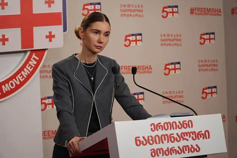 "ევროპა მოვიარე, რათა პარტნიორებს ვეხვეწოთ, რომ უვიზო მიმოსვლა არ გაუუქმონ - თუ ასინეთა მდინარაძეს ერთი მტკიცებულება მაინც აქვს, სადაც საპირისპიროს ვამბობ, წარმოადგინოს" - თინა ბოკუჩავა