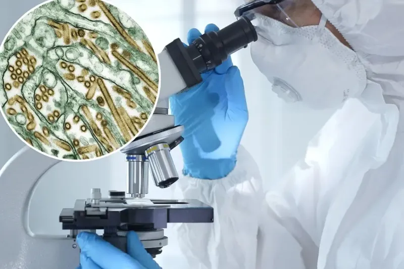 უცნაური შემთხვევა აშშ-ში: მამაკაცი ფრინველის გრიპის ისეთი შტამით დაინფიცირდა, რომელიც აქამდე ადამიანში არ დაფიქსირებულა