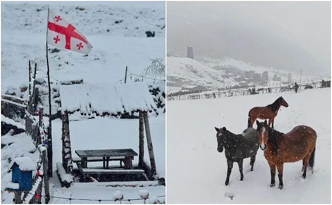 საქართველოში პირველი თოვლი მოვიდა - ულამაზესი კადრები თეთრად გადაპენტილი უშგულიდან (ფოტო/ვიდეო)