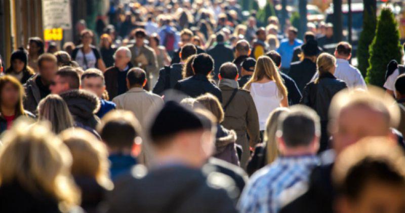 2026 წლიდან სოციალურად დაუცველების დასაქმების პროგრამა აღარ გაგრძელდება