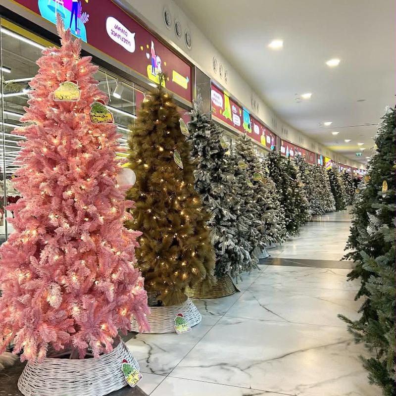 როგორ ავარჩიოთ ნაძვის ხე? – საუკეთესო ფასები და მრავალფეროვანი არჩევანი ვიშლისთში