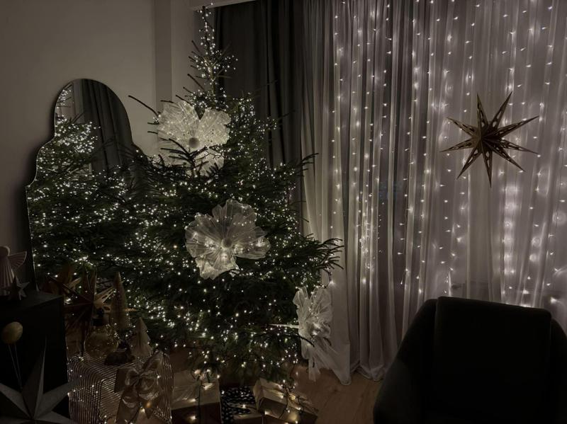 "წელს ჩემმა ნაძვის ხემ განსაკუთრებული მოწონება დაიმსახურა" - ნახეთ მარიამ კუხალაშვილის ჯადოსნური დეკორაციები