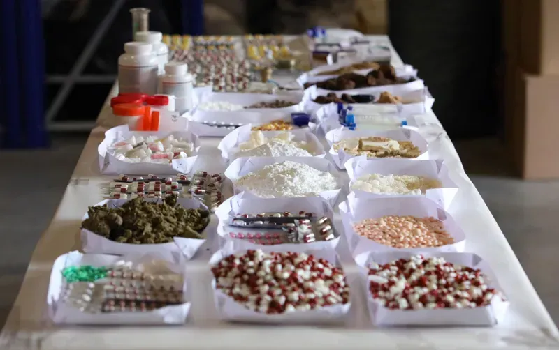 შსს-მ უპრეცედენტო რაოდენობის ნარკოტიკული საშუალებები გაანადგურა, რომელთა ღირებულება "შავ ბაზარზე" 19 მილიონ ლარს აღემატება