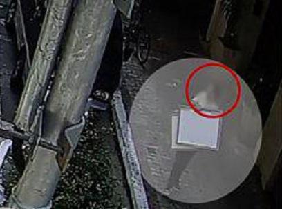 სან-პაულოში მდებარე ბიბლიოთეკიდან ცნობილი ფრანგი მხატვრის, ანრი მატისის 8 ნამუშევარი მოიპარეს