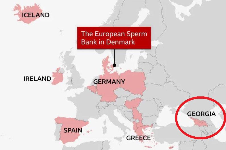 დონორის მუტირებული სპერმა, რომელიც კიბოს ალბათობას ზრდის, 14 ქვეყანაში, მათ შორის საქართველოშიც გაიგზავნა: ჩაისახა ასეულობით ბავშვი - BBC-ის სკანდალური გამოძიება