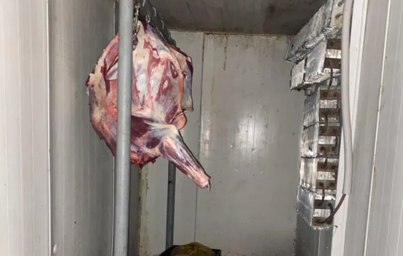 თბილისში, ზესტაფონსა და ვანში არალეგალური სასაკლაოები გამოავლინეს - სეს-ი განცხადებას ავრცელებს