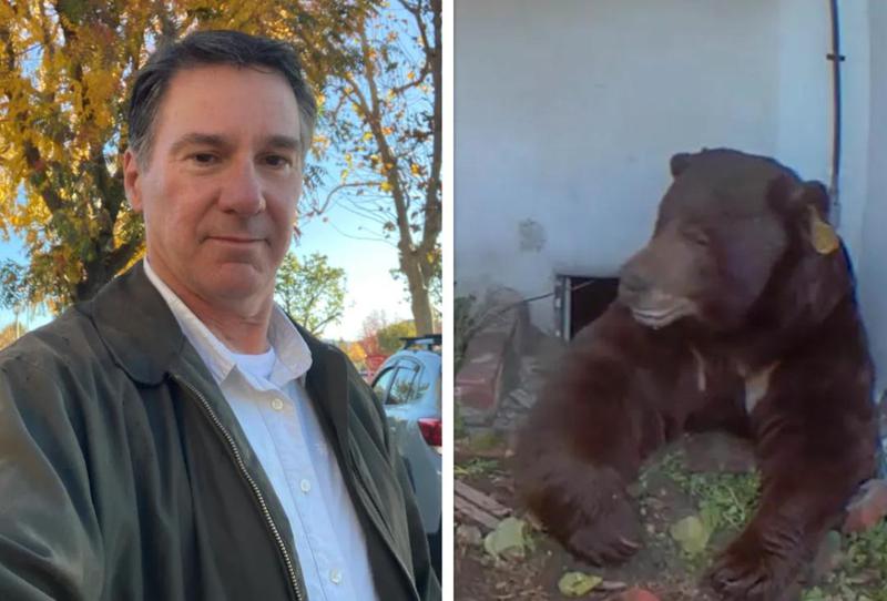 "საშინელი სუნი იდგა, ყველაფერი დაზიანებული მხვდებოდა... აქედან ვეღარ გაგვყავს" - კალიფორნიელმა კაცმა აღმოაჩინა, რომ მისი სახლის სარდაფში დათვი ცხოვრობს