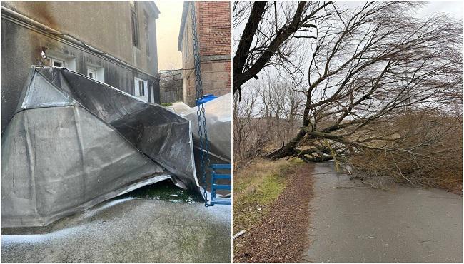 ძლიერმა ქარმა ხაშურში და კახეთში სახლებს სახურავები ახადა, მწყობრიდან გამოვიდა ელექტროგადამცემი ხაზები, მოგლეჯილია ხეები: ამოქმედდა ცხელი ხაზი (ფოტო)