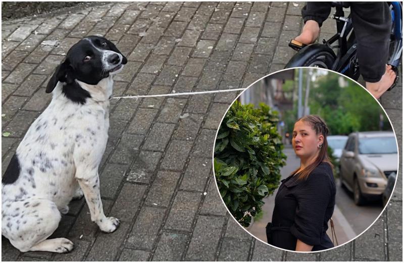 "როგორც კი ხალხმა სიმართლე დაინახა, დედამ "ფეისბუქზე" სახელი შეიცვალა" - ბავშვმა ველოსიპედზე მიბმული ძაღლი ათრია: რას ჰყვება აქტივისტი, რომელმაც პოლიციას მიმართა