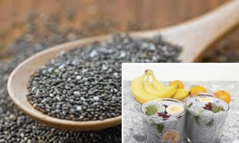 ჩია - აცტეკების "ღვთაებრივი" საკვები: რა ელემენტებს, მინერალებსა და ვიტამინებს შეიცავს ჩიას თესლი - როგორ შევინახოთ და მივიღოთ?