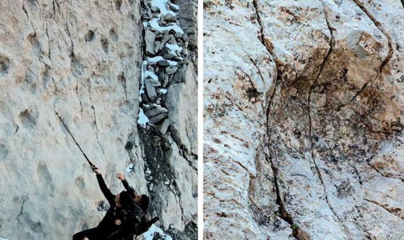 იტალიის მთებში დინოზავრების ათასობით ნაკვალევი აღმოაჩინეს - რაზე მიანიშნებს უნიკალური აღმოჩენა?