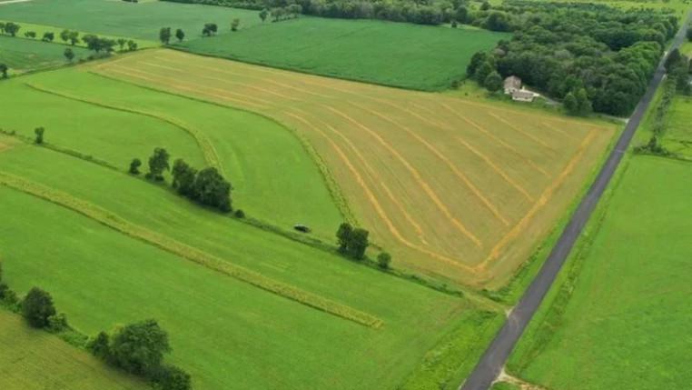 კახეთში რამდენიმე მოქალაქეს ქონებას იძულებით ჩამოართმევენ - რა წერია ეკონომიკის სამინისტროს ბრძანებაში