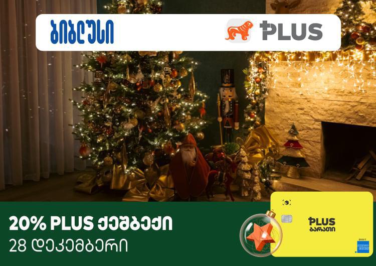 28 დეკემბერს "ბიბლუსში" 100 ლარის გადახდისას 30 ლარი PLUS ქულების სახით დაგიბრუნდებათ