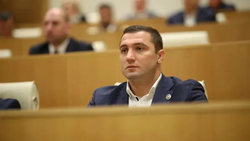 ვარლამ ლიპარტელიანი "ქართული ოცნების“ ახალგაზრდული ორგანიზაციის თავმჯდომარედ  აირჩიეს