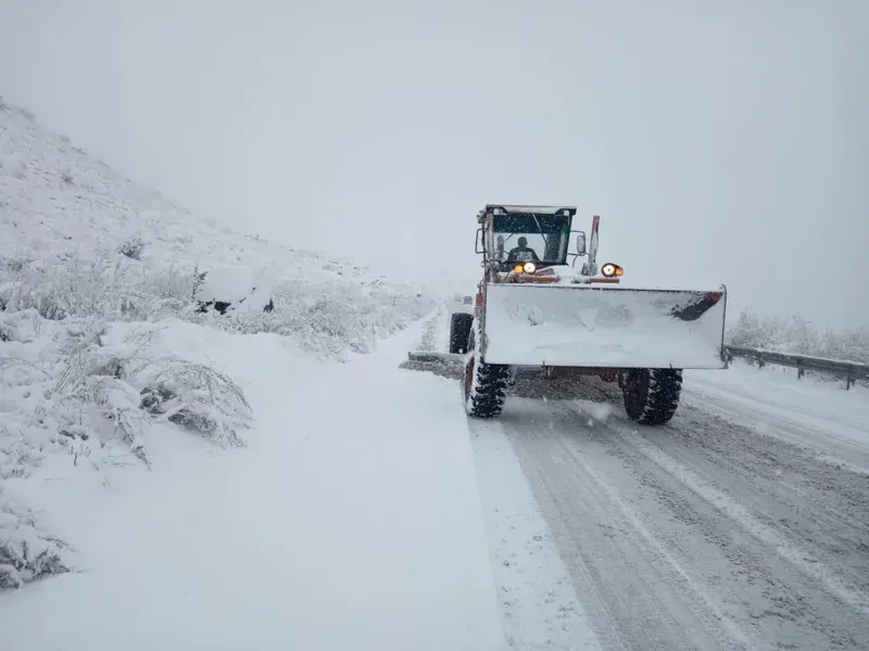 ძლიერი თოვა, ნისლი, ყინვა - უამინდობა საქართველოში და შეზღუდვები გზებზე: სად რა ვითარებაა