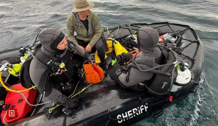 მოცურავეთა ჯგუფის წევრი ზვიგენმა ქმრის თვალწინ შეჭამა - ქალის ცხედარი ერთი კვირის შემდეგ იპოვეს: კალიფორნიაში მომხდარი ტრაგედიის დეტალები