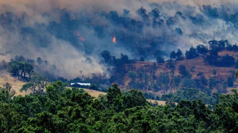 ერთი დაღუპული, გადამწვარი დასახლებები და ევაკუირებული მოსახლეობა - ავსტრალიაში ტყის ხანძრების ათეულობით კერას ამ დრომდე ებრძვიან