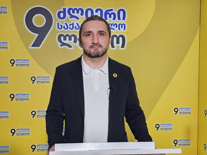 "ცენტრალიზებული შესყიდვები ვერ შეამცირებს კორუფციას, პირიქით, გაზრდის სისტემურ რისკს" - ნიკა ჩერქეზიშვილი