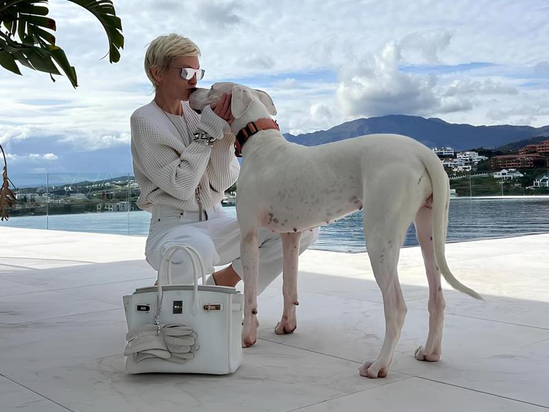 კვირის ჰოროსკოპი (2-8 თებერვალი): ვის ელის ვნებიანი რომანი და ვის — ფინანსური ნახტომი?