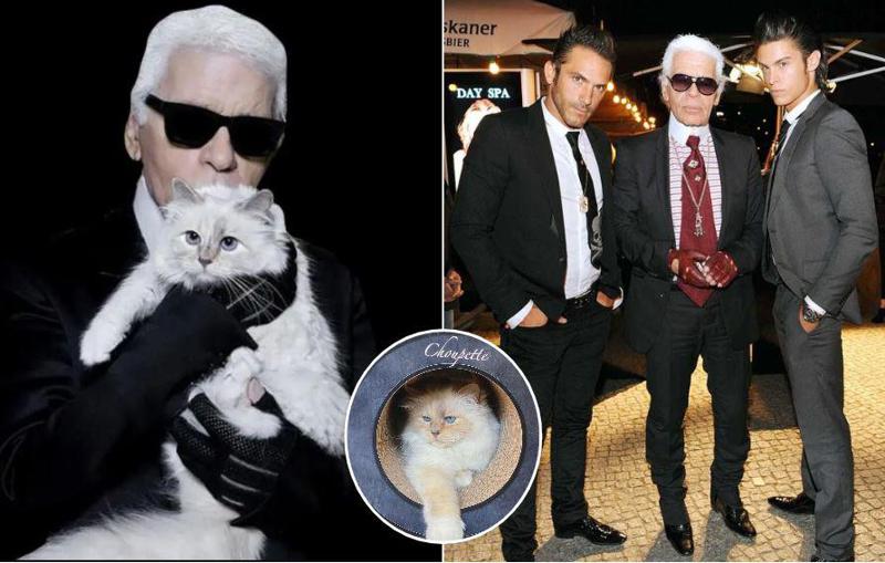 კარლ ლაგერფილდის ნათესავები დიზაინერის ქონებისთვის ბრძოლას იწყებენ და უჩივიან კატასაც კი, რომელსაც ანდერძად 1.5 მლნ ევრო ერგო -  სკანდალური დავის დეტალები