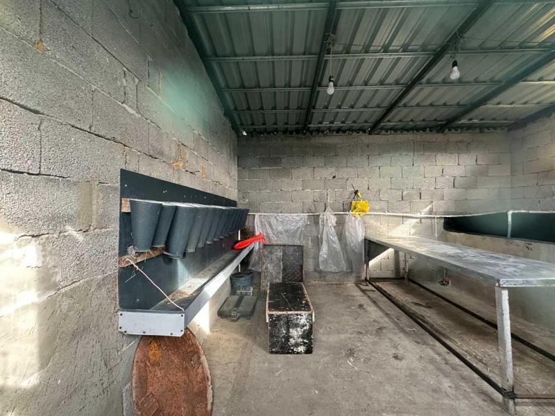 შიდა ქართლში 8 არალეგალური სასაკლაო და კვერცხის არალეგალური წარმოება გამოვლინდა - სურსათის ეროვნული სააგენტო დეტალებს ავრცელებს