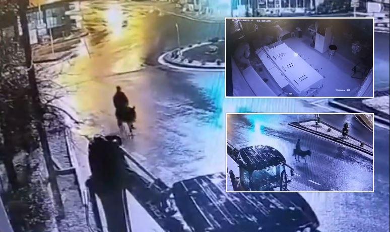 თურქეთში მძარცველი სამკაულების მაღაზიაში შეიჭრა, 150 გრამი ოქრო მოიპარა და ადგილიდან ვირზე ამხედრებული გაიქცა - სათვალთვალო კამერის ჩანაწერები