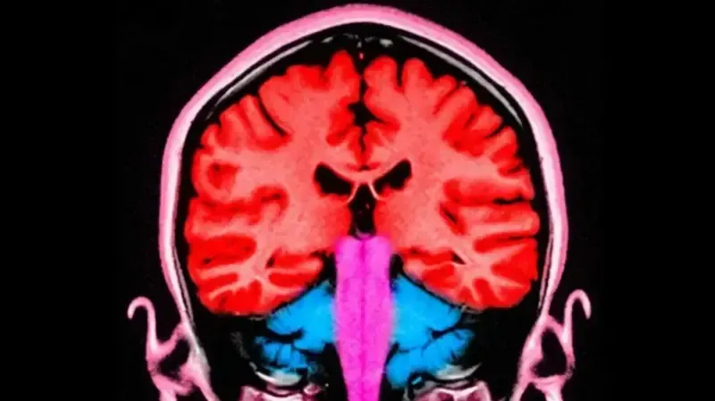 მეცნიერებმა აღმოაჩინეს გზა, რომელიც ადამიანებში ეგოიზმის შემცირებას უწყობს ხელს