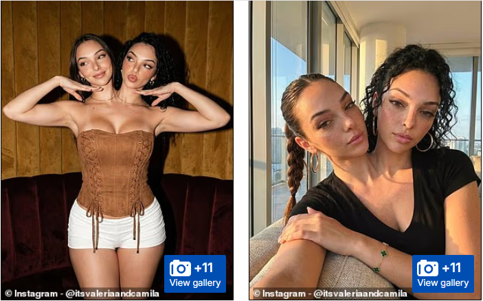 "დაუჯერებელია, ორივე სახე ერთნაირად ზუსტად ირუჯებოდეს" - ცნობილი "ინფლუენსერი" სიამის ტყუპი AI-ს მიერ გენერირებული პერსონაჟი აღმოჩნდა