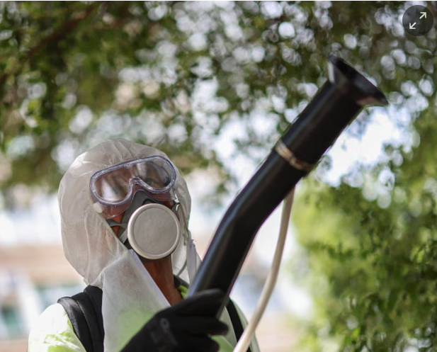 ევროპაში შესაძლოა, ტროპიკული ინფექციების აფეთქება ვიხილოთ, რომელიც კოღოების მეშვეობით ვრცელდება - რა აჩვენა ახალმა კვლევამ