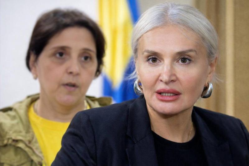 "რადგან ექსპერტიზის პასუხი უკვე არის, გადავწყვიტე განმარტება გავაკეთო ეპიზოდთან დაკავშირებით, სადაც მე მახსენებენ" - რას ამბობს ნანუკა ჟორჟოლიანი