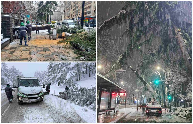 დაზიანებული ელექტროგადამცემი ხაზები, გაწყვეტილი ინტერნეტების სადენები, ჩახერგილი გზები... - თბილისში უხვმა ნალექმა პრობლემები შექმნა: სად რა ვითარებაა