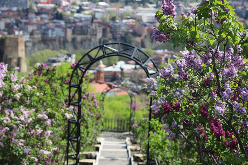 ბოტანიკური ბაღი ვიზიტორებისთვის დაიკეტა - რა არის მიზეზი: თბილისის მერია განცხადებას ავრცელებს