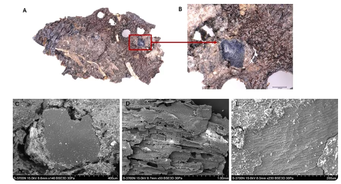 როგორი იყო ქვის ხანის სამზარეულო - CNN ახალ კვლევას აქვეყნებს, რომელიც საკვების მომზადების უძველესი მეთოდებზე წარმოდგენას ცვლის