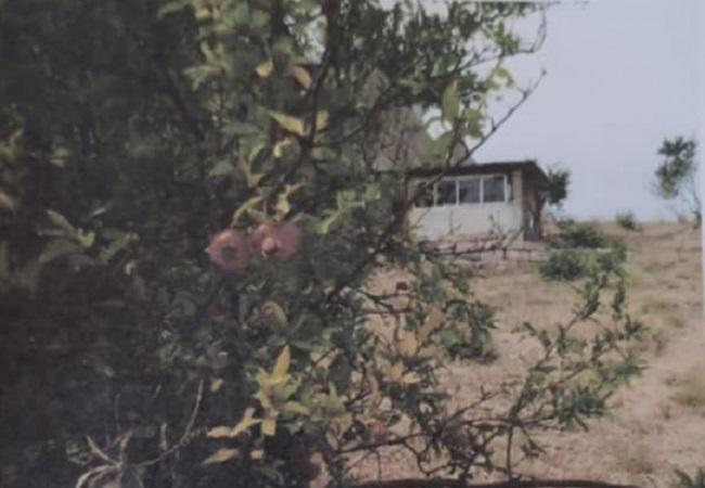 12 წელი სამართლის მოლოდინში - მრავალ ტრაგედია გამოვლილი დალაქიშვილების ოჯახის ბრძოლა სისტემურ გულგრილობასთან