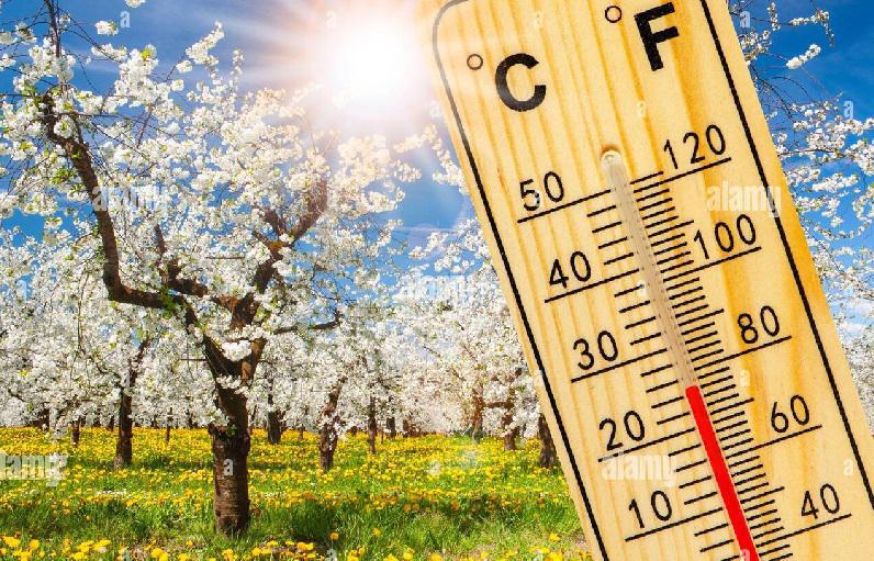 როგორი ამინდი იქნება უახლოეს დღეებში - ტემპერატურა +22 გრადუსს მიაღწევს