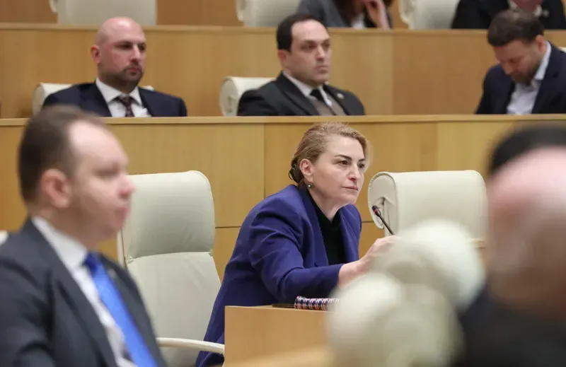 "ნუ თავმდაბლობთ, ერთი კანონი მითხარით, რომელიც მოქალაქის კეთილდღეობაზე აისახა" - სოფიო ხორგუანი შალვა პაპუაშვილს