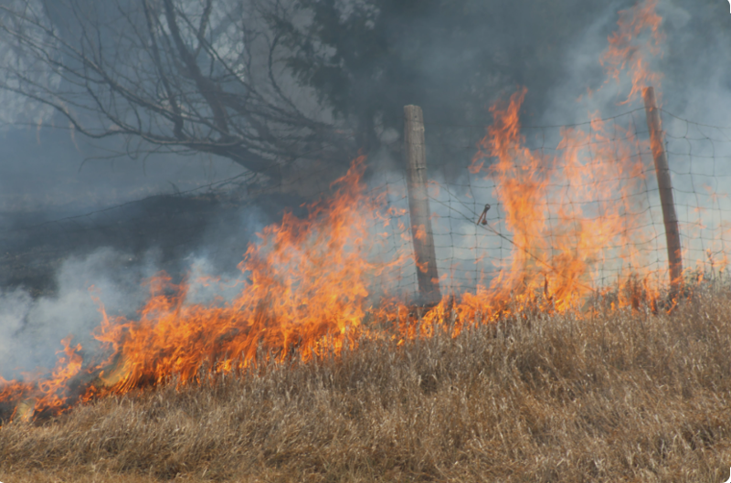 ევაკუირებული დასახლებები და გადამწვარი ტყის მასივები, რომლის ჩაქრობასაც ასეულობით მეხანძრე ცდილობს - ნებრასკაში მასშტაბური ხანძრები მძვინვარებს: არის მსხვერპლი