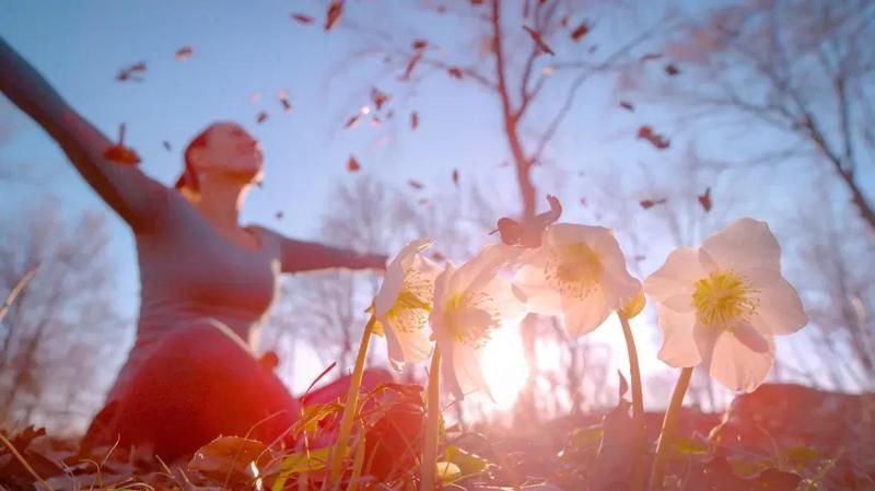 დღეს, ზუსტად 18:45-ზე თქვენი ცხოვრების ახალი ციკლი იწყება: არ გამოტოვოთ გაზაფხულის ბუნიობის მაგიური წუთი!