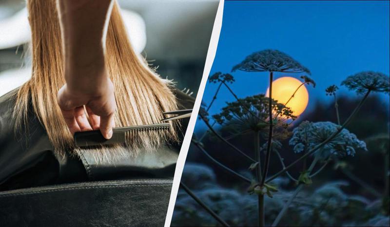 მთვარის კალენდარი: როდის შეიჭრათ თმა 2026 წლის აპრილში - საუკეთესო და სახიფათო დღეები