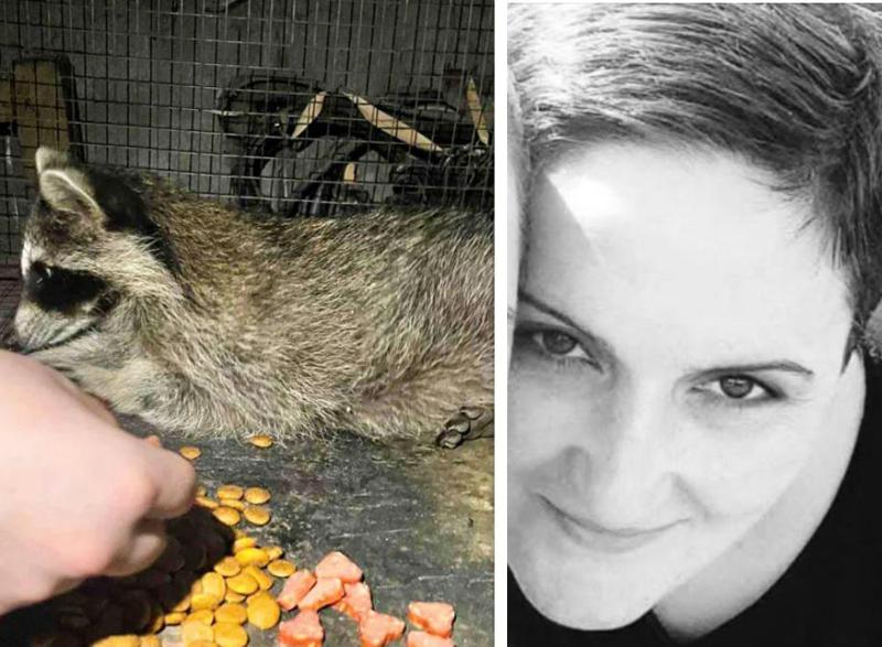 "უსათნოესი ადამიანი იყო,... ენოტი წავიდა..." - ცნობილია ყვარელში ავტოავარიისას გარდაცვლილი პოლიციელის ვინაობა - საზოგადოება კარგად იცნობდა ქალს, რომელიც ცხოველებზე, მათ შორის ენოტზე ზრუნავდა