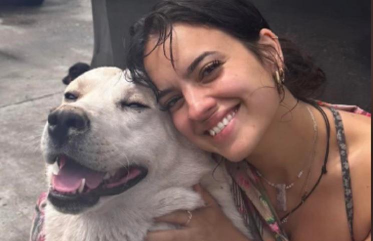 "მწერენ გულდასაწყვეტ წერილებს, რომლებიც საქართველოში მიუსაფარი ძაღლების გაუჩინარებას უკავშირდება" - რას წერს ნინა დრამა? ინფლუენსერი ქართველებს მიმართავს