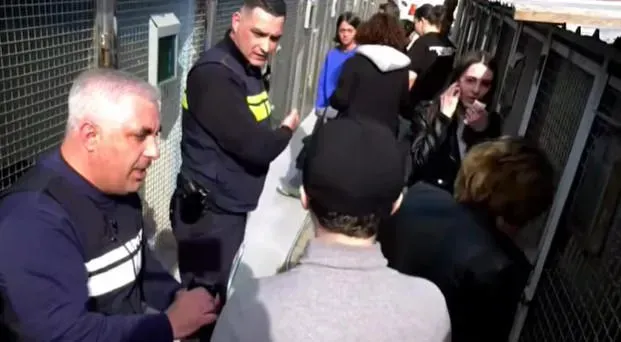 "მოქალაქეთა აგრესიული ჯგუფი შეიჭრა ცხოველთა თავშესაფრის ტერიტორიაზე" - რა განცხადებას ავრცელებს თბილისის მერია