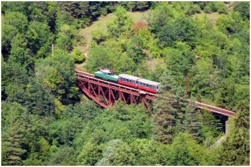 მთავრობის გადაწყვეტილებით, ბორჯომ-ბაკურიანის მატარებელი ე.წ. კუკუშკა მოქალაქეებს მომავალი წლის იანვრიდან მოემსახურება