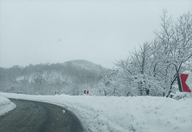 ინტენსიური თოვის გამო გზებზე შეზღუდვები დაწესდა - სად რა ვითარებაა: საავტომობილო გზების დეპარტამენტი მოსახლეობას აფრთხილებს